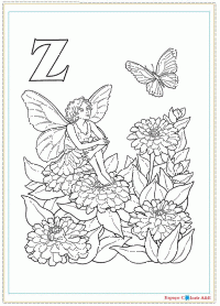 p26-alfabeto-z