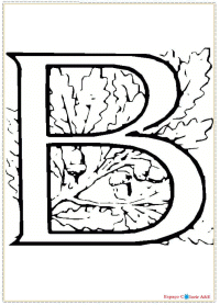 zd2-alfabeto-b
