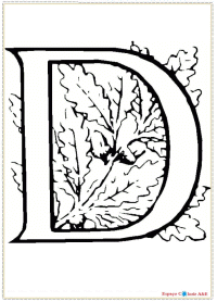 zd4-alfabeto-d