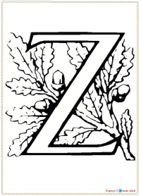 zd26-alfabeto-z