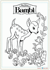b8- bambi