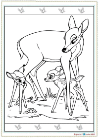 d21- bambi