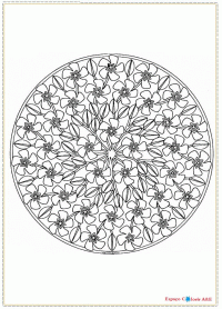 d6- mandalas