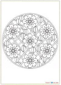 d8- mandalas