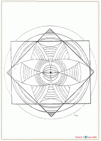 h20- mandalas