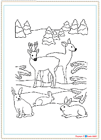 b7-natal-animais-renas