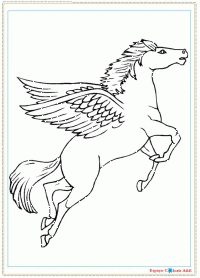 b14-unicornios&pegasus