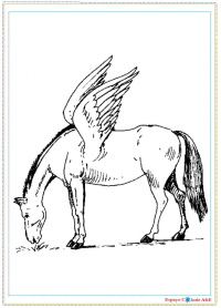 b16-unicornios&pegasus