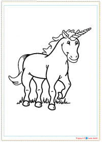 c12-unicornios&pegasus
