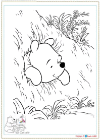 a16-winnie pooh