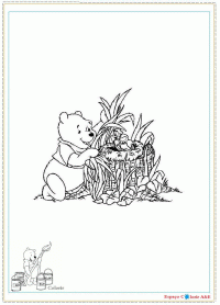 b20-winnie pooh