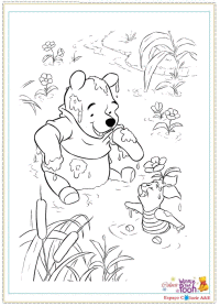 j12-winnie pooh