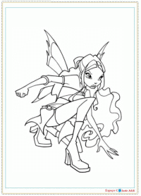 f5-winx-layla