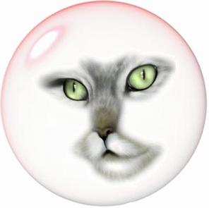 gif-cat-bubble-a&e